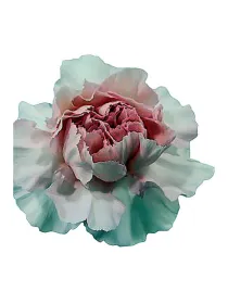 Happy tea rosa - standard carnation young plant H. 10 cm Carnation / Garofano - Azienda Agricola Di Giorgio Antonio Ss