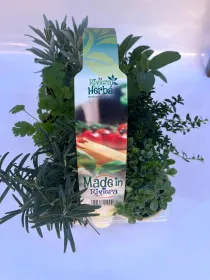 Made in riviera x 6 V. 9 cm - Riviera Quality Società Agricola Cooperativa