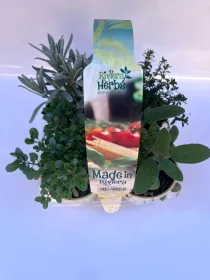 Made in riviera x4 V. 9 cm - Riviera Quality Società Agricola Cooperativa