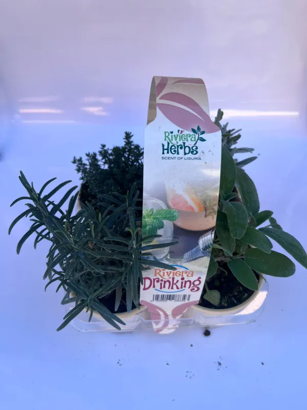 Riviera drinking pack da 4 V. 9 cm - Riviera Quality Società Agricola Cooperativa