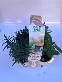 Riviera drinking pack da 4 V. 9 cm - Riviera Quality Società Agricola Cooperativa