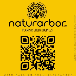 Naturarbor Efloric 03 Tester